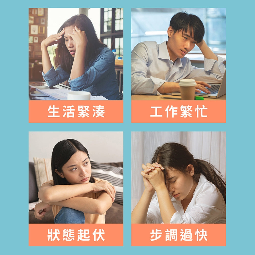 【Plus Day】無敏專利益生菌 20包/袋 8種益菌群 靈芝多醣體 對抗換季 舒緩護敏 調節體質 商品介紹圖 4