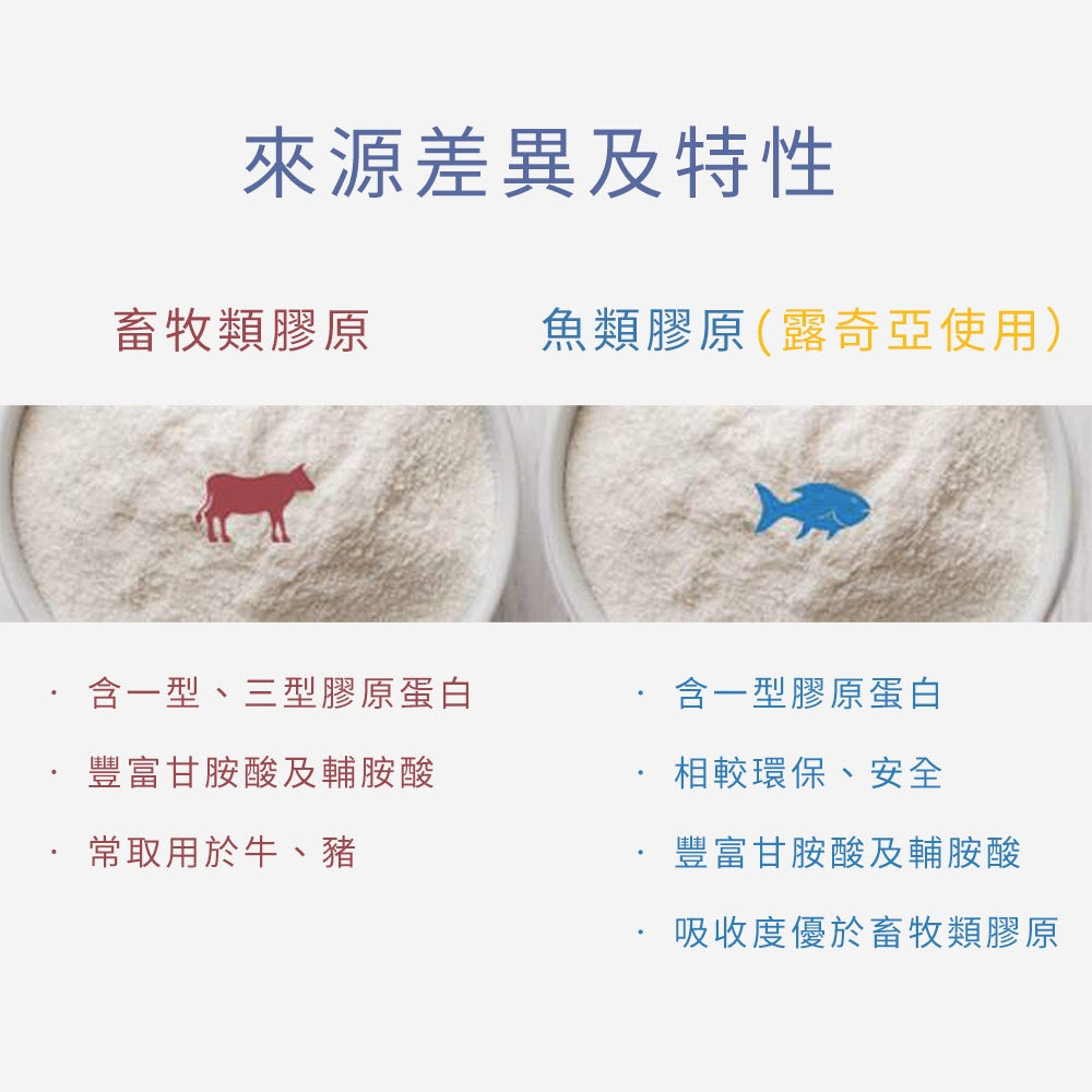 【Ruijia露奇亞】鋅酵母膠原蛋白 30包/盒 保水成分NO.1 用吃的安瓶精華 維持能量 胜肽級膠原蛋白