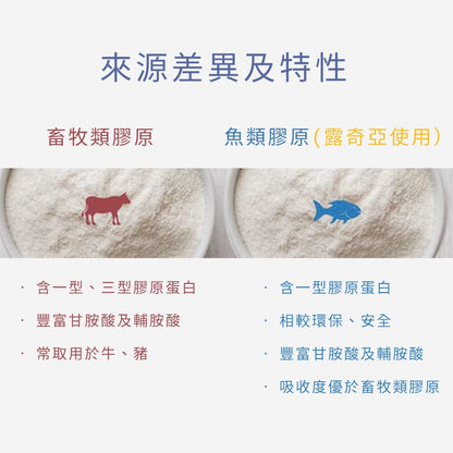 【Ruijia露奇亞】鋅酵母膠原蛋白 30包/盒 保水成分NO.1 用吃的安瓶精華 維持能量 胜肽級膠原蛋白