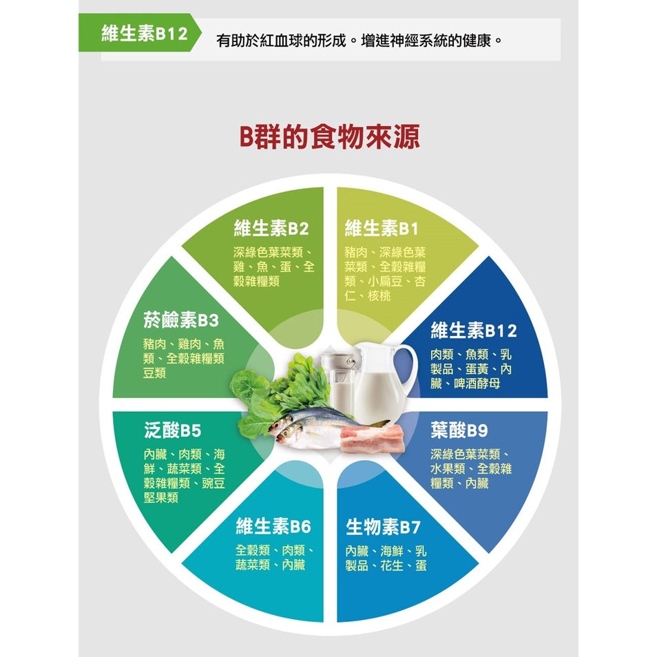 【德之寶Doppelherz】全日B群緩釋錠 45錠/盒 德之寶B群 綜合維生素B群 公司貨 德國雙心B群