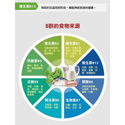 【德之寶Doppelherz】全日B群緩釋錠 45錠/盒 德之寶B群 綜合維生素B群 公司貨 德國雙心B群
