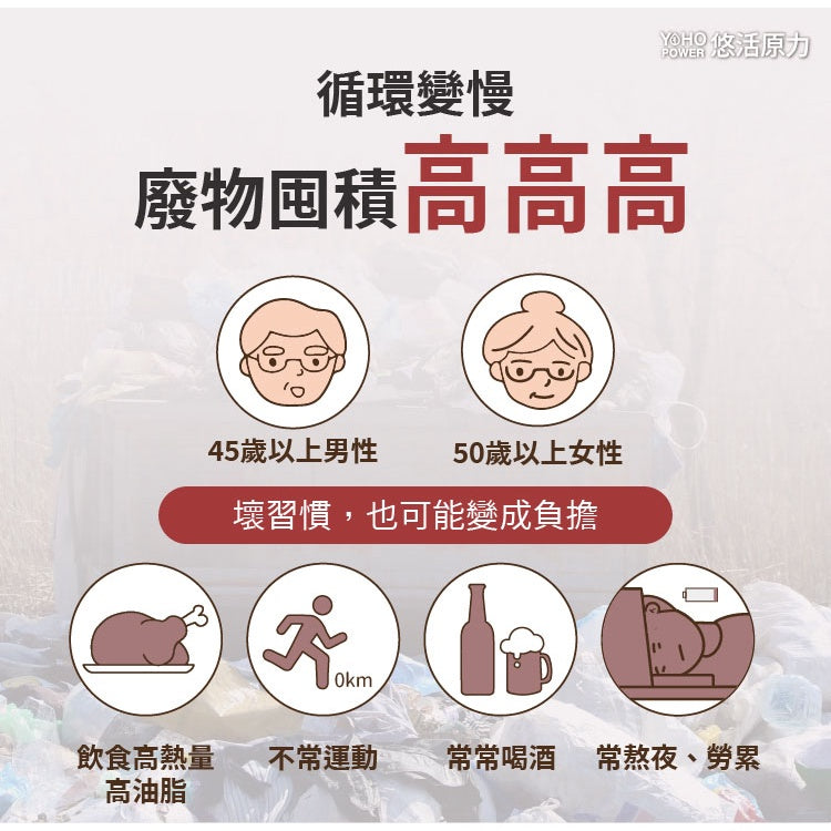 【悠活原力】紅麴植物膠囊 60粒/盒 衛福部核准健康食品 小綠人標章 全素可食 有助於降低血中總膽固醇