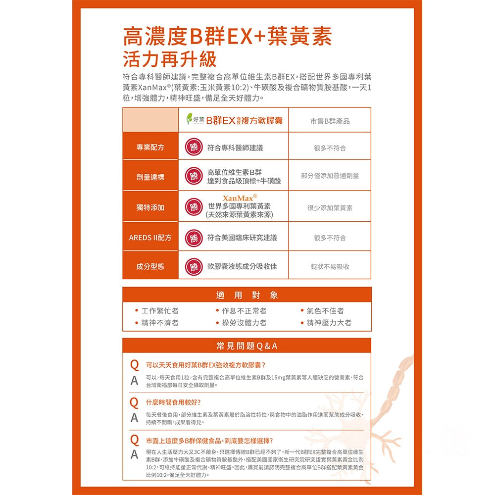【好葉】維生素B群EX強效軟膠囊 葉黃素配方 60粒/盒 高單位B群 微量礦物質