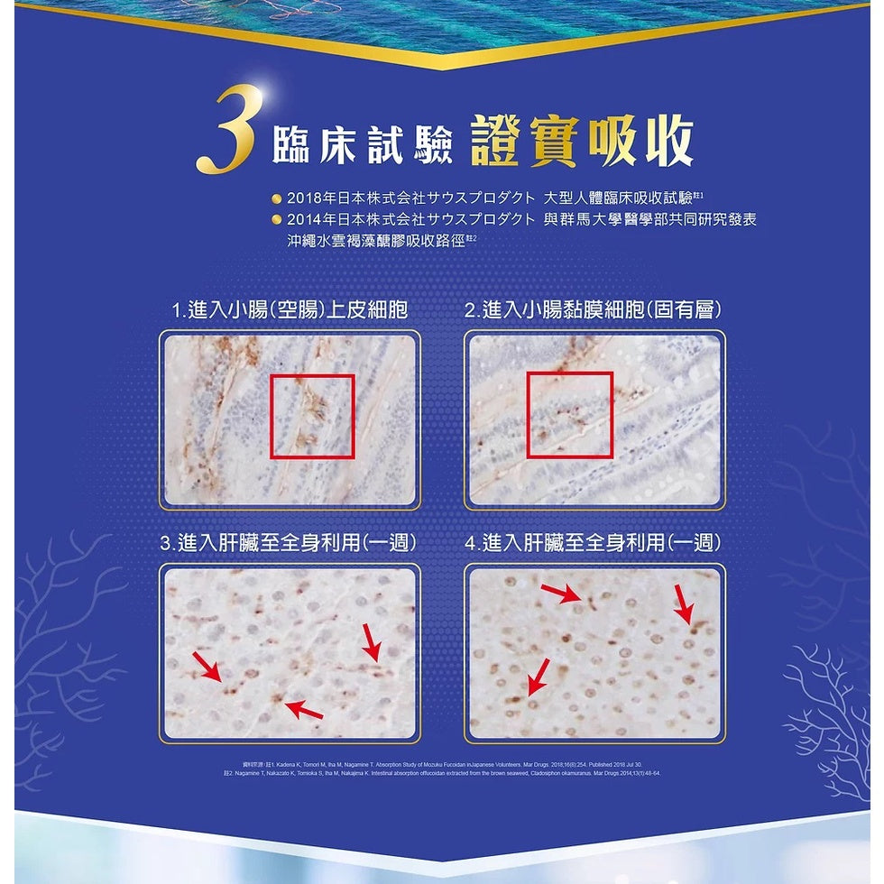【佳倍優】褐速康 褐藻醣膠 膠囊 30顆/瓶 調節免疫力 健康食品 小綠人 維持保護力 多醣體補充 補充活力