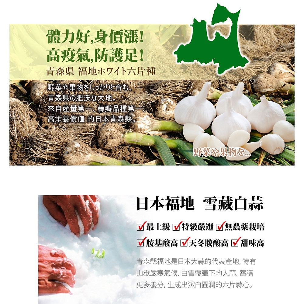 【ITOH井藤】日本國產雪藏無臭大蒜精 90粒/盒 日本製 倦怠感OUT 體力強盛 增強防御力 無臭味