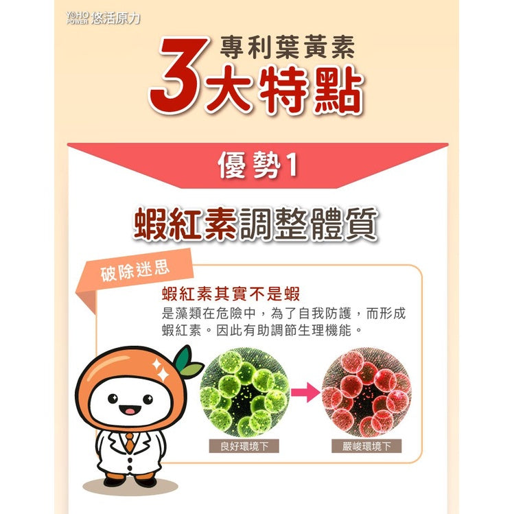 【悠活原力】金盞花葉黃素+蝦紅素複方軟膠囊 30粒/瓶 游離型葉黃素 八種抗氧化成分 3C低頭族保養必備