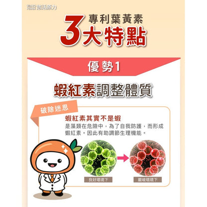 【悠活原力】金盞花葉黃素+蝦紅素複方軟膠囊 30粒/瓶 游離型葉黃素 八種抗氧化成分 3C低頭族保養必備