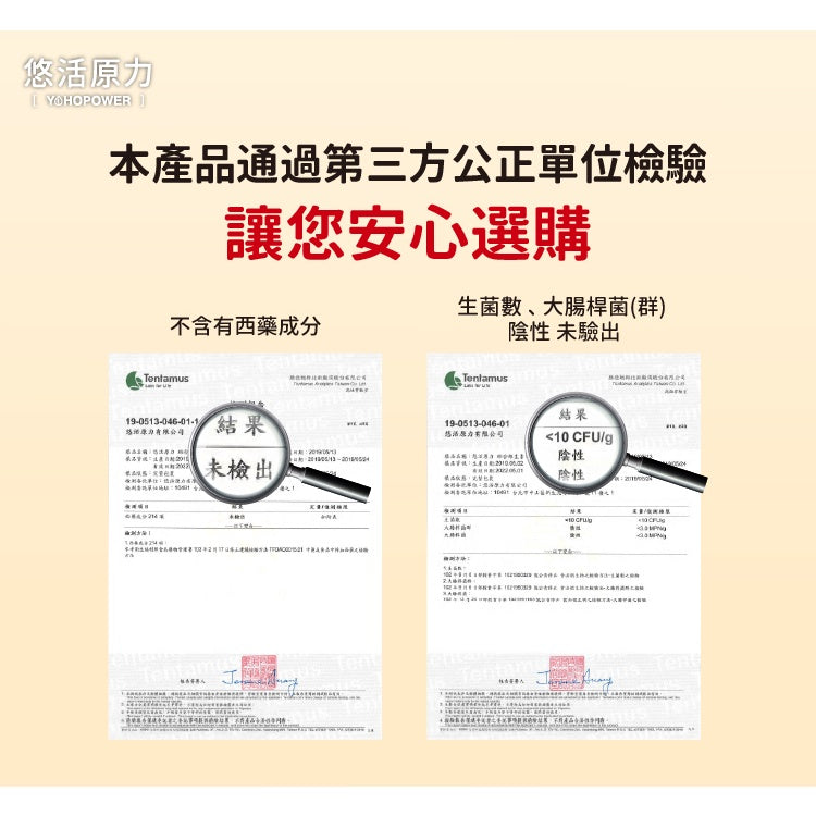 【悠活原力】緩釋長效綜合維生素B群 60粒/瓶 緩釋膜衣錠 長效8小時緩慢釋放 TTFD B12 原力B群