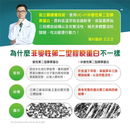 【挺立】關鍵雙效錠 42錠/盒 挺立關鍵雙效錠 UC-II 突破性雙效配方 靈活行動力