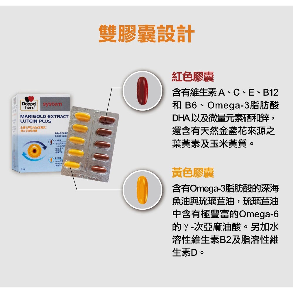 【德之寶Doppelherz】金盞花萃取葉黃素複方日夜軟膠囊 60粒/盒 雙膠囊 台灣公司貨 德國雙心