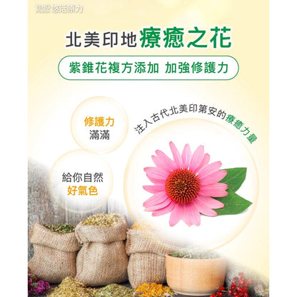 【悠活原力】悠活維生素C+鋅口含錠(鳳梨蘋果口味) 28粒/包 維他命C 添加紫錐花