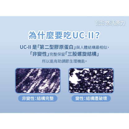 【悠活原力】悠活關健複方膠囊UC-II+玻尿酸 30粒/盒 頂規 80mg玻尿酸 薑黃 關節 膝蓋