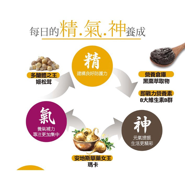 【IKOR醫珂】和漢元氣瑪卡BB顆粒 30包/盒 日本製 8大綜合B群 姬松茸萃取 孕哺婦適用 黑棗萃取