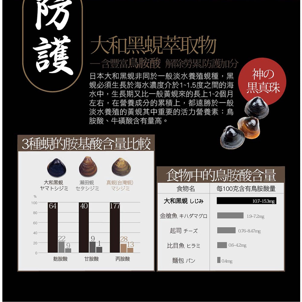 【IKOR醫珂】和漢 甘爽薑黃肝精錠 30包/盒 日本製 秋薑黃萃取 調節代謝力 添加大和黑蜆精