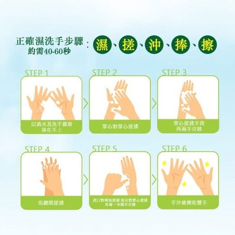 【花仙子】茶樹檸檬抗菌洗手乳 300g/瓶 中性洗手乳 無色素 無添加 茶樹洗手乳