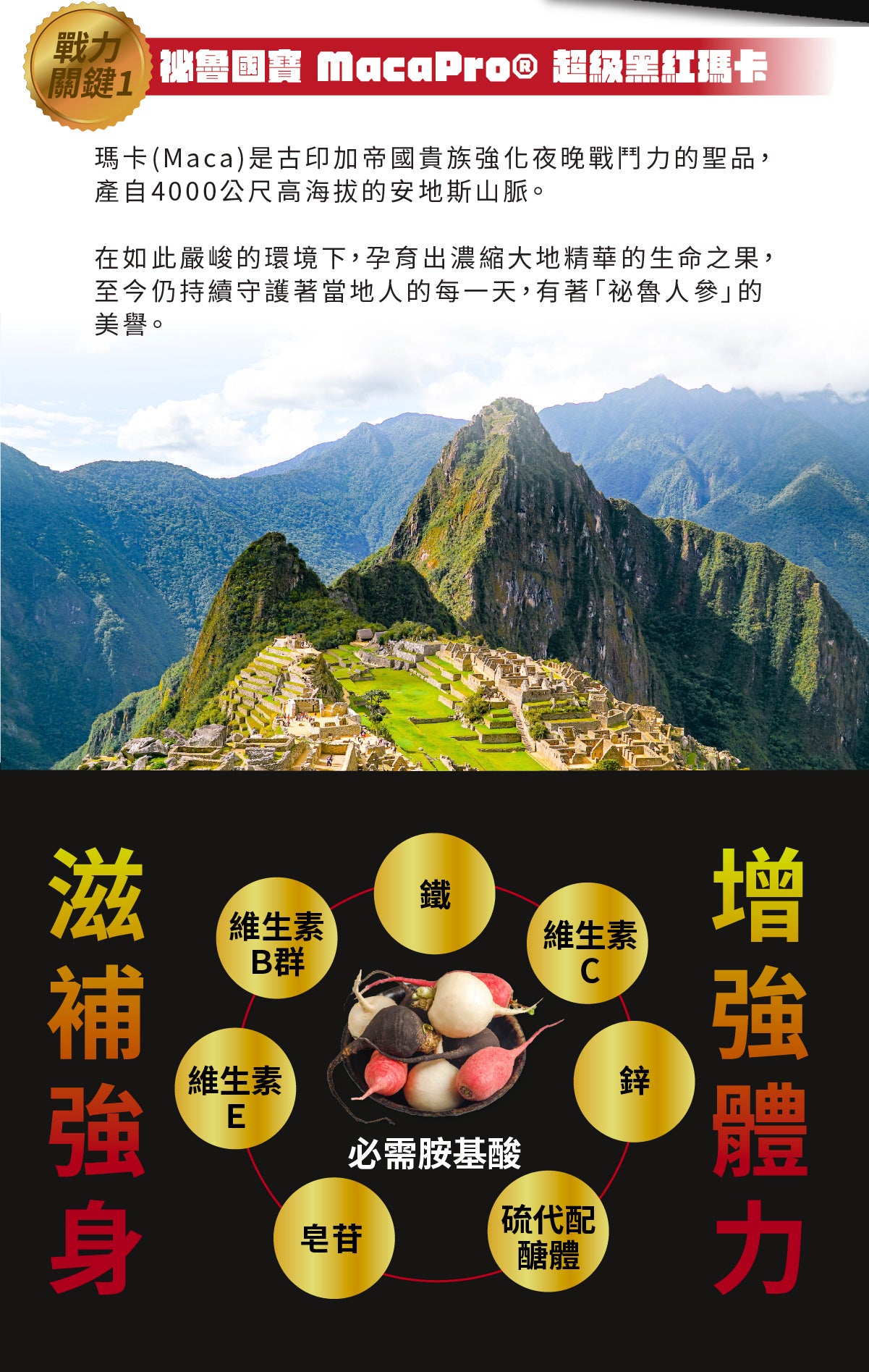 【好好時養】酉時計畫-甲斐之虎 30顆/盒 秘魯黑紅瑪卡 L-精胺酸 茄紅素 鋅 提升活力 男性保養 商品介紹圖 12