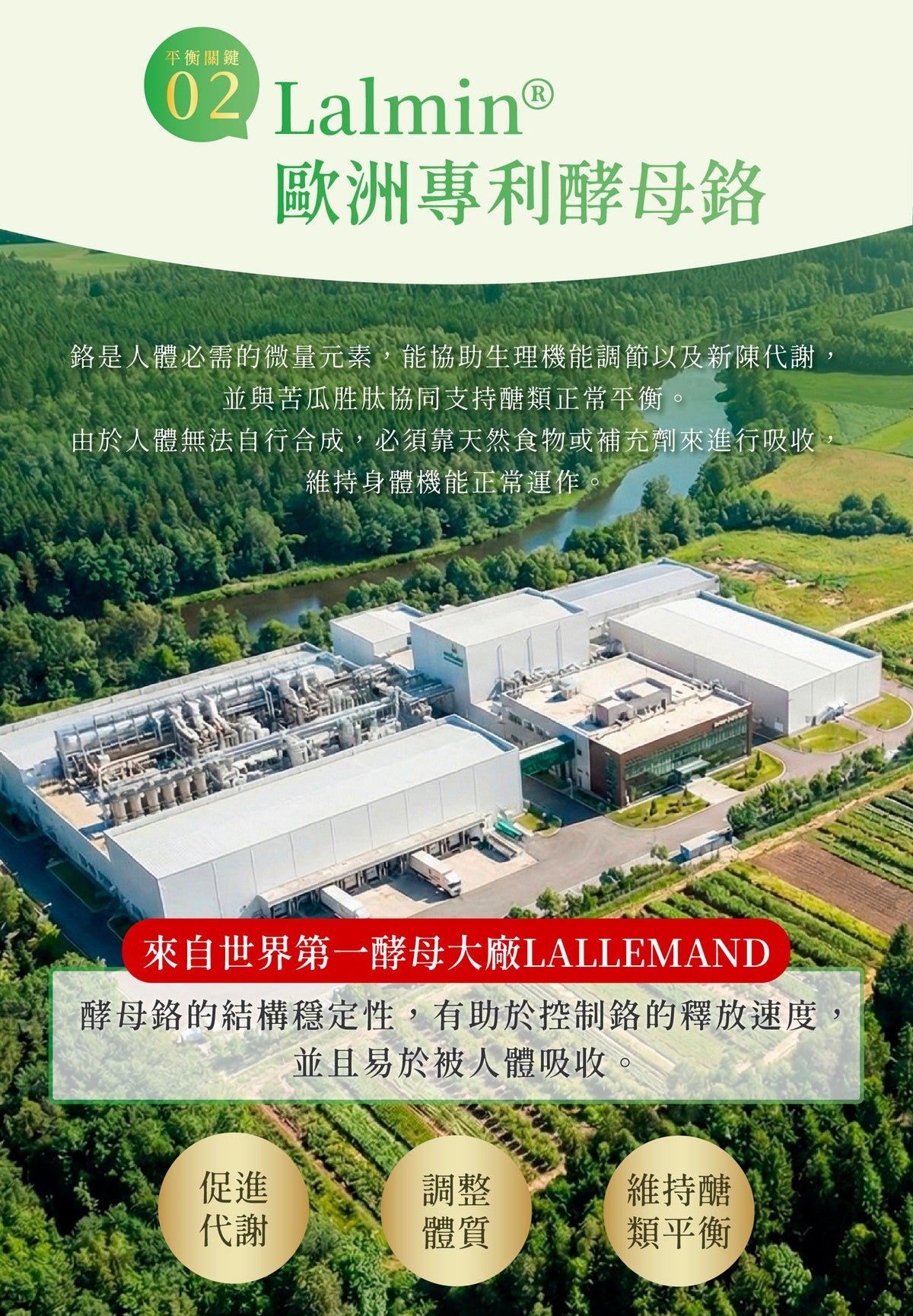 【好好時養】午時計畫-專利山苦瓜胜肽EX 90顆/盒 全素 白腎豆 酵母鉻 栗子種皮 餐前補給 平衡穩定管理 商品介紹圖 7
