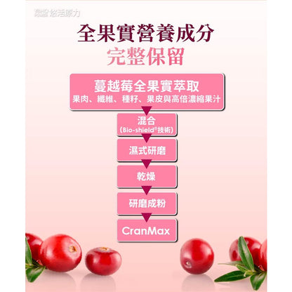 【悠活原力】蔓越莓私密益生菌植物膠囊 60粒/瓶 高濃縮蔓越莓萃取 專利益生菌 私密保養