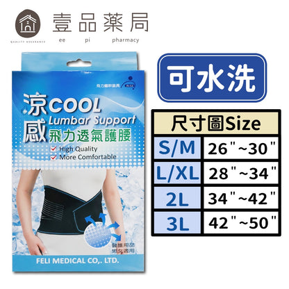 【飛力】涼感透氣護腰 單入 MIT台灣製造 涼感紗材質 透氣不悶熱 人體工學設計