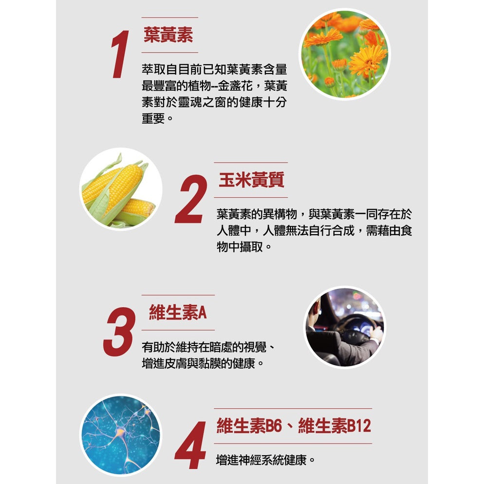 【德之寶Doppelherz】金盞花萃取葉黃素複方日夜軟膠囊 60粒/盒 雙膠囊 台灣公司貨 德國雙心
