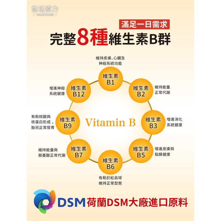 【悠活原力】緩釋長效綜合維生素B群 60粒/瓶 緩釋膜衣錠 長效8小時緩慢釋放 TTFD B12 原力B群