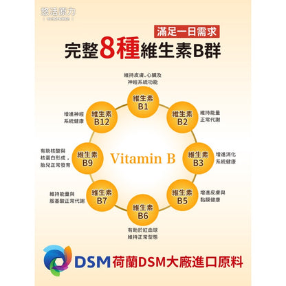 【悠活原力】緩釋長效綜合維生素B群 60粒/瓶 緩釋膜衣錠 長效8小時緩慢釋放 TTFD B12 原力B群
