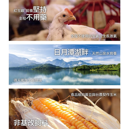 【補體素】滴雞精隨手盒 50mlx2包/盒 常溫 補體素滴雞精 頂級日月潭紅玉雞 滋補元氣