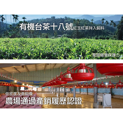【補體素】滴雞精隨手盒 50mlx2包/盒 常溫 補體素滴雞精 頂級日月潭紅玉雞 滋補元氣