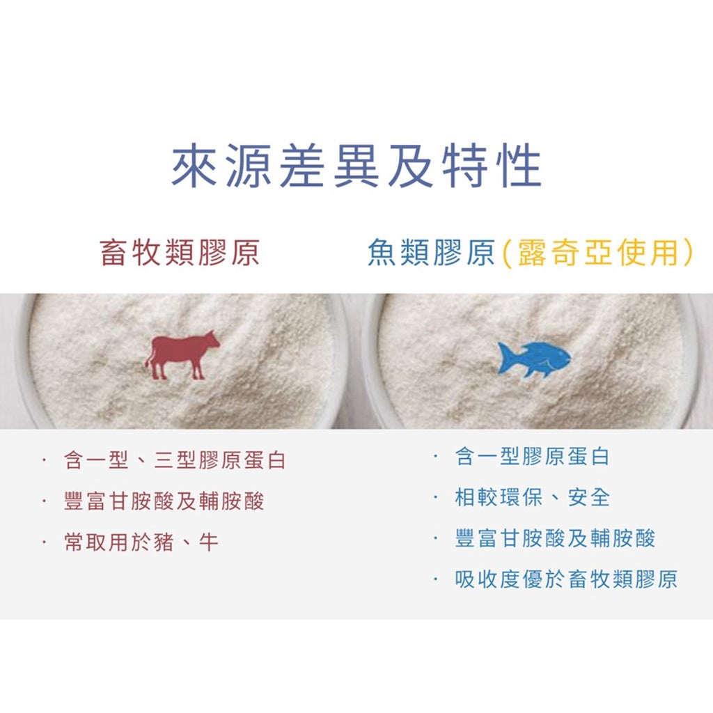 【Ruijia露奇亞】優質純淨膠原蛋白粉 65入/袋 補充袋 純魚類膠原蛋白 小分子膠原蛋白 露奇亞膠原蛋白