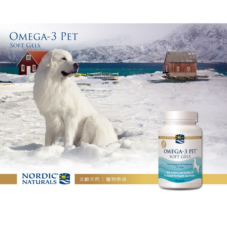 【Nordic Naturals北歐天然】寵物魚油膠囊(適合中型至大型犬) 90粒/罐 專為寵物設計 公司貨