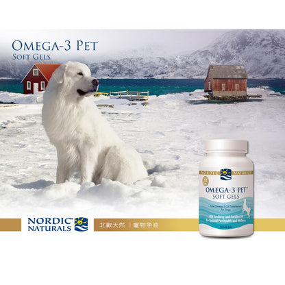 【Nordic Naturals北歐天然】寵物魚油膠囊(適合中型至大型犬) 90粒/罐 專為寵物設計 公司貨