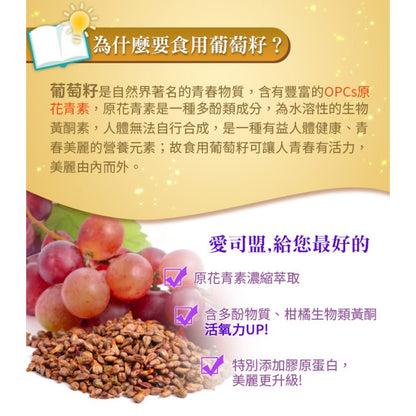 【愛司盟】葡萄籽氧妍膠囊 60顆/瓶 添加膠原蛋白 抓住青春美麗的秘密 原花青素濃縮萃取