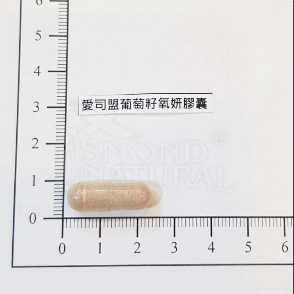 【愛司盟】葡萄籽氧妍膠囊 60顆/瓶 添加膠原蛋白 抓住青春美麗的秘密 原花青素濃縮萃取