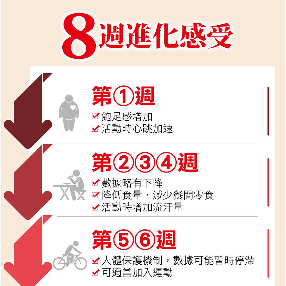 【船井生醫】burner倍熱 極纖錠(衛福部核准健康食品) 60顆/盒 國家健字號認證 船井funcare