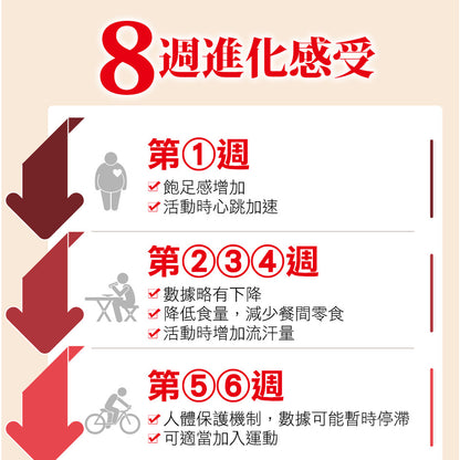 【船井生醫】burner倍熱 極纖錠(衛福部核准健康食品) 60顆/盒 國家健字號認證 船井funcare
