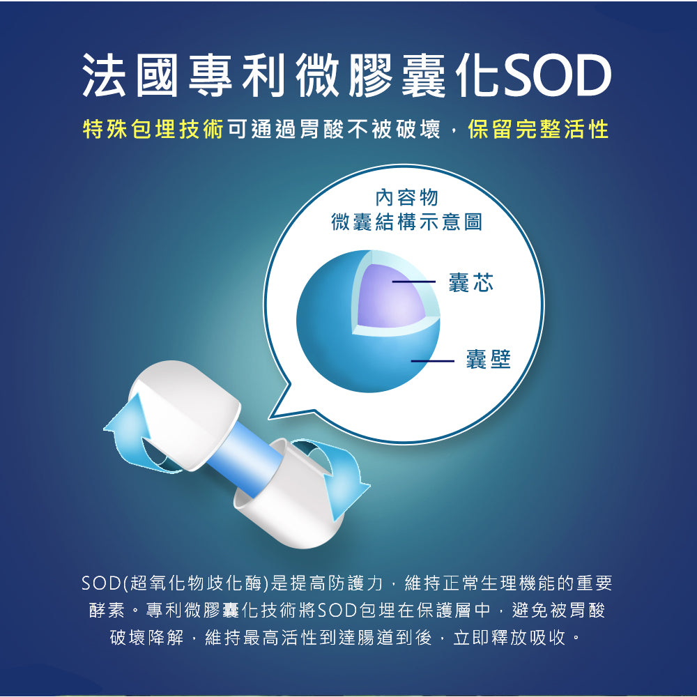 【精銳昇EXFERTIL】男性綜合營養素膠囊 60粒/盒 維持生理機能 男性保健 提升活性