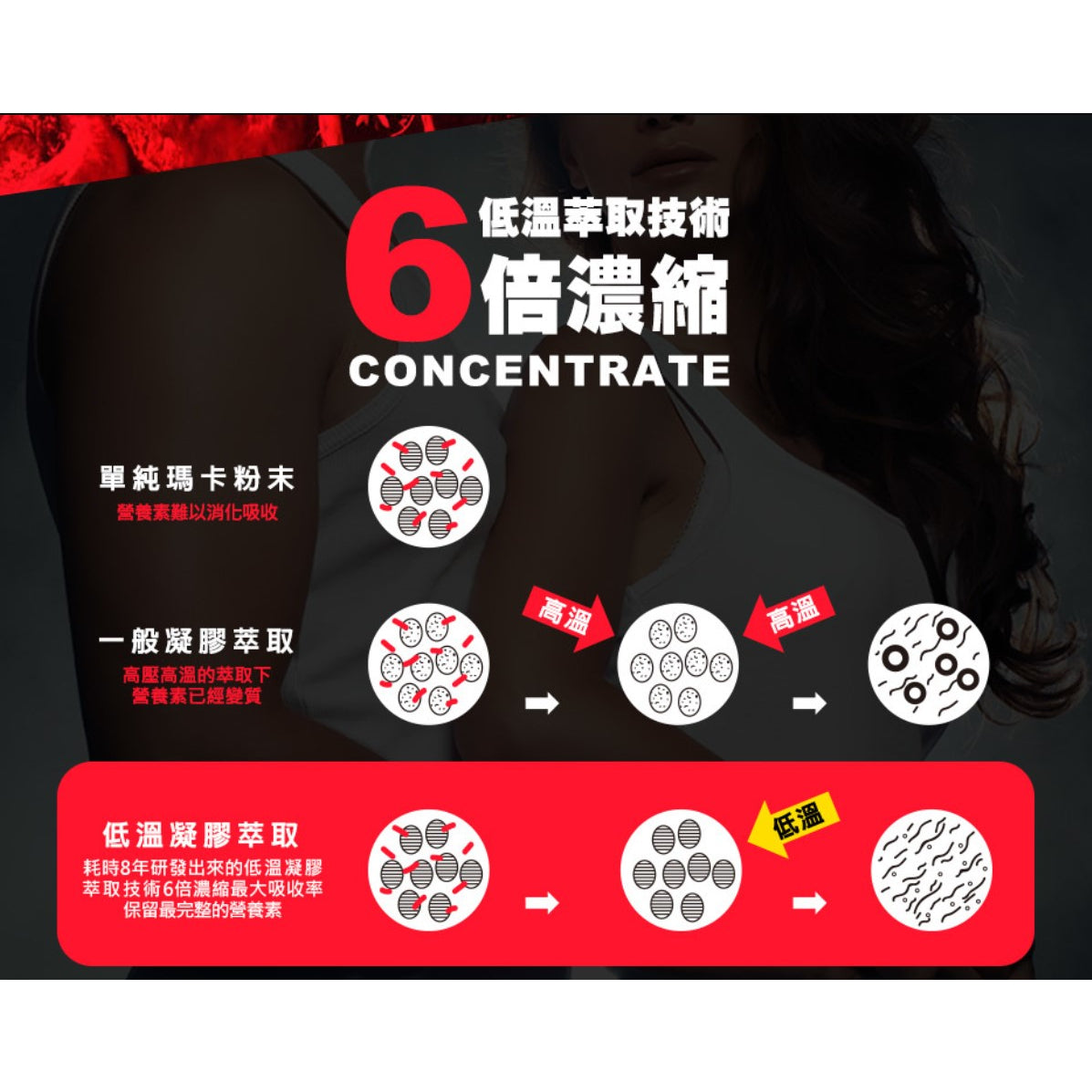 【船井生醫】6X活力瑪卡王 60顆/盒 提升體力 6倍濃縮 低溫萃取技術