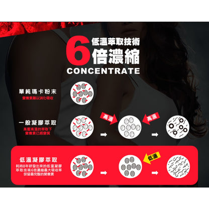【船井生醫】6X活力瑪卡王 60顆/盒 提升體力 6倍濃縮 低溫萃取技術