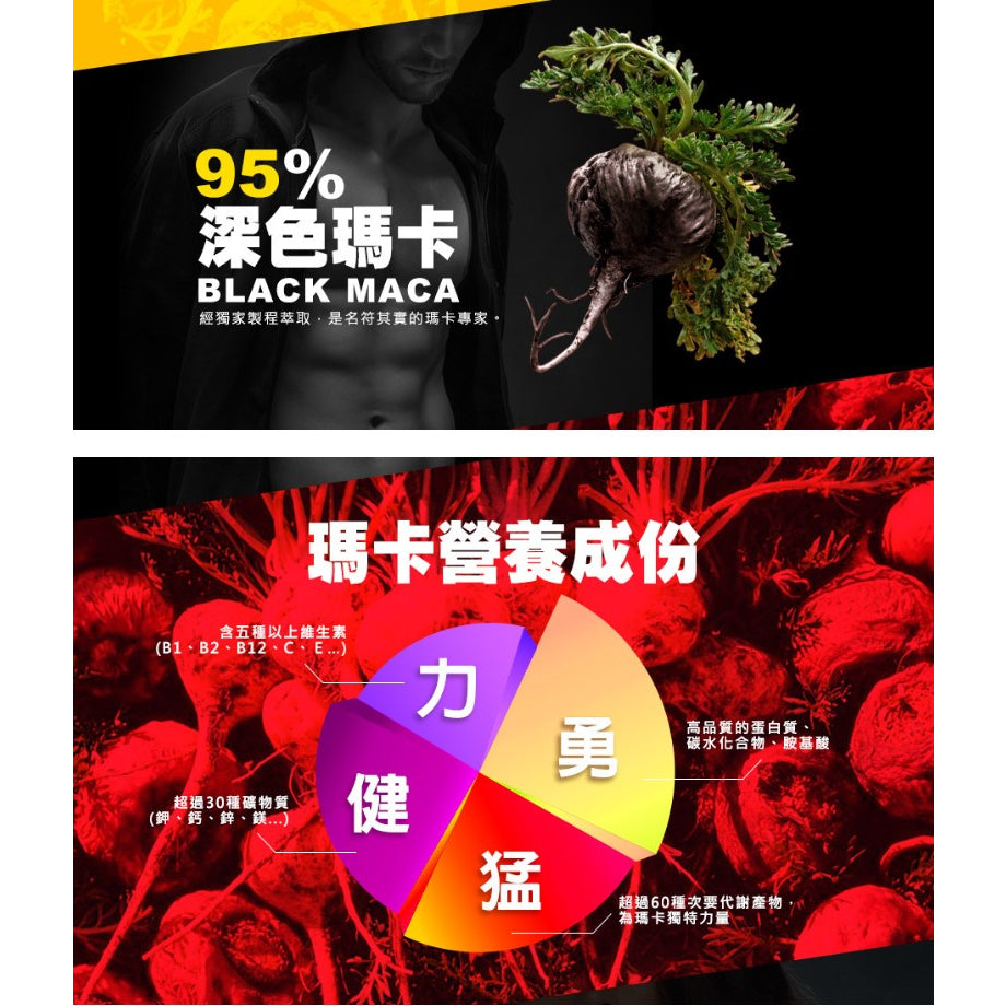 【船井生醫】6X活力瑪卡王 60顆/盒 提升體力 6倍濃縮 低溫萃取技術