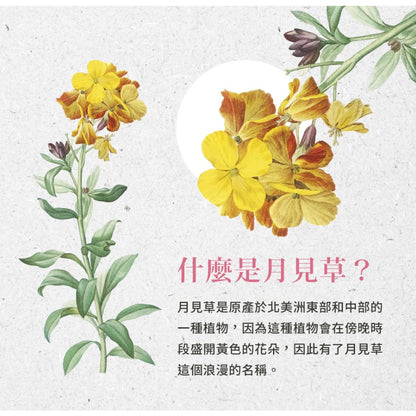 【聖伯納德Sanct Bernhard】月見草美容膠囊 200顆/瓶 授權經銷 原廠公司貨 德國百年草本