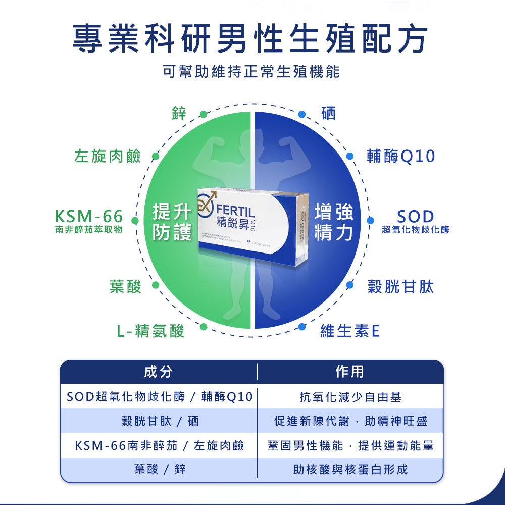 【精銳昇EXFERTIL】男性綜合營養素膠囊 60粒/盒 維持生理機能 男性保健 提升活性