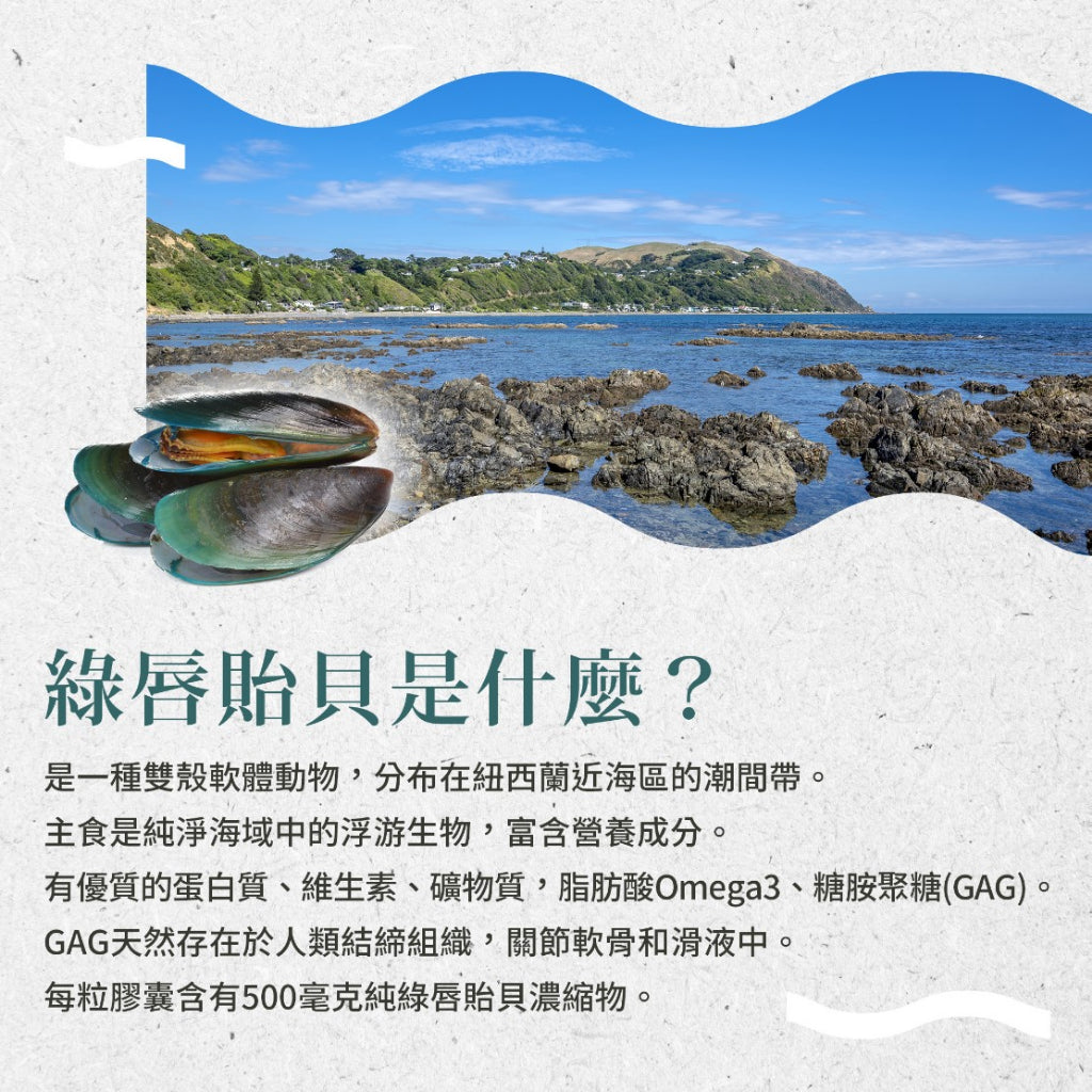 【Sanct Bernhard聖伯納德】綠唇貽貝膠囊 300顆/瓶 授權經銷 原廠公司貨 德國百年草本