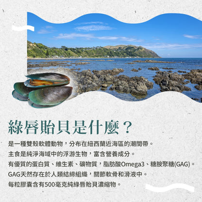 【Sanct Bernhard聖伯納德】綠唇貽貝膠囊 300顆/瓶 授權經銷 原廠公司貨 德國百年草本