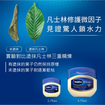 【Vaseline凡士林】經典高純修護凝膠 49g/106g