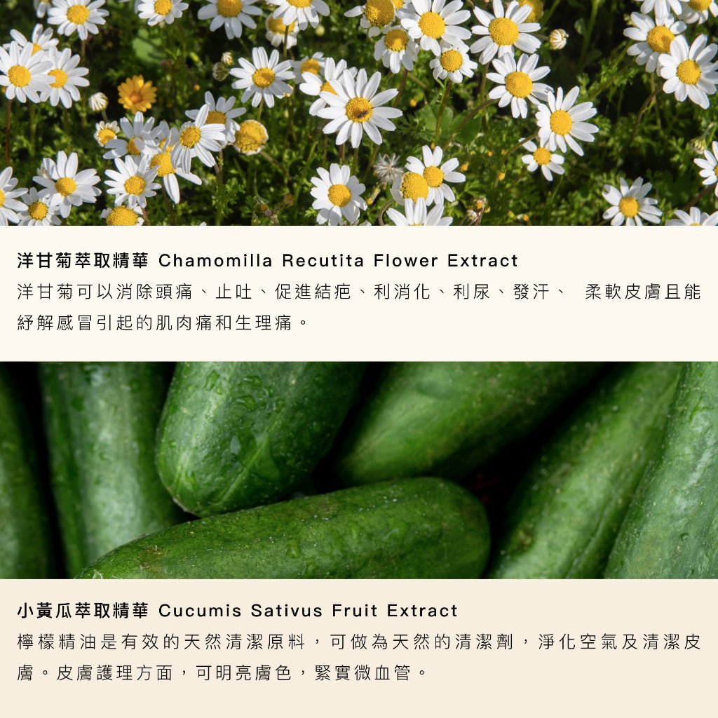 【純白伊芙】女性私密潔護濕巾 12抽/包 防乾摩擦 酸鹼平衡 清潔護理 草本萃取 天然精油 加厚材質