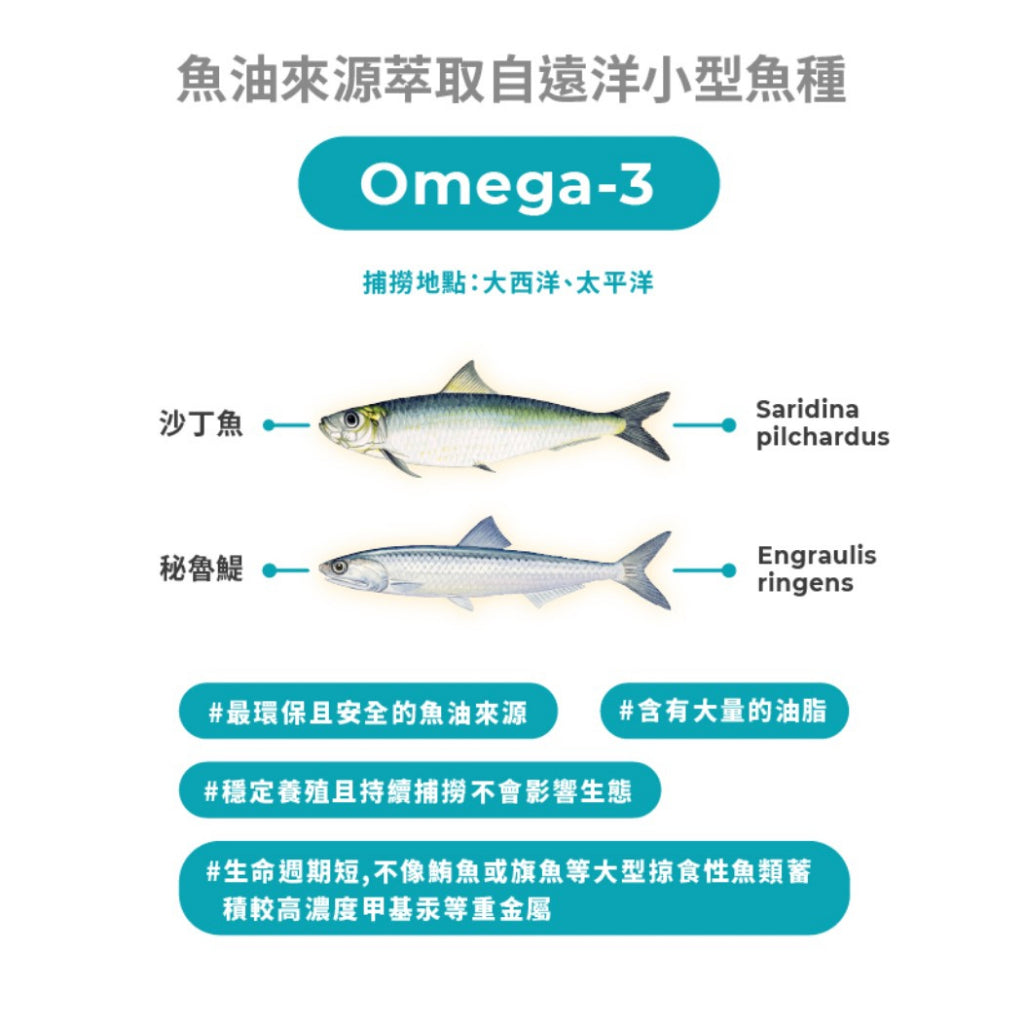 【藥師健生活】4832高純度魚油 90顆/瓶 rTG型態 西班牙頂級魚油 高純淨 48%EPA 32%DHA
