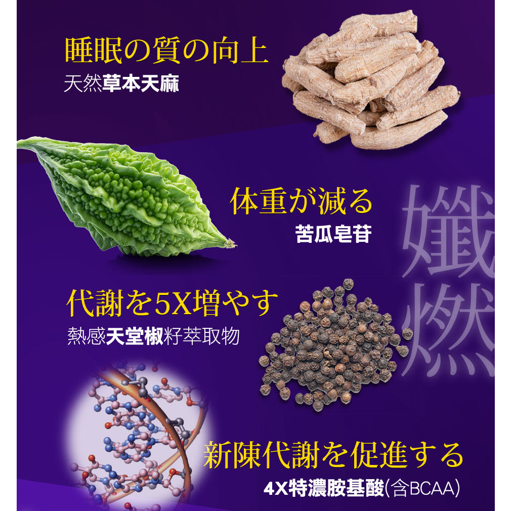 【船井生醫】burner倍熱 夜孅胺基酸EX PLUS 40粒/盒 進化版 船井funcare 公司貨