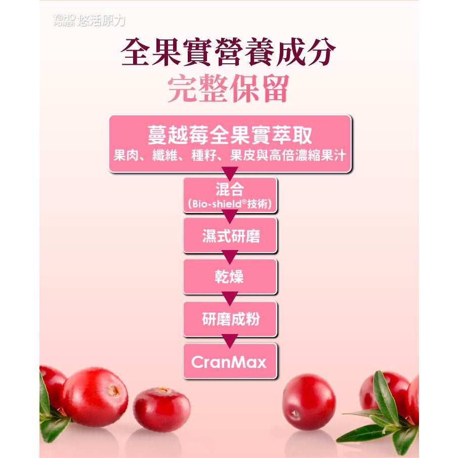 【悠活原力】蔓越莓私密益生菌植物膠囊 10粒/瓶 高濃縮蔓越莓萃取 專利益生菌