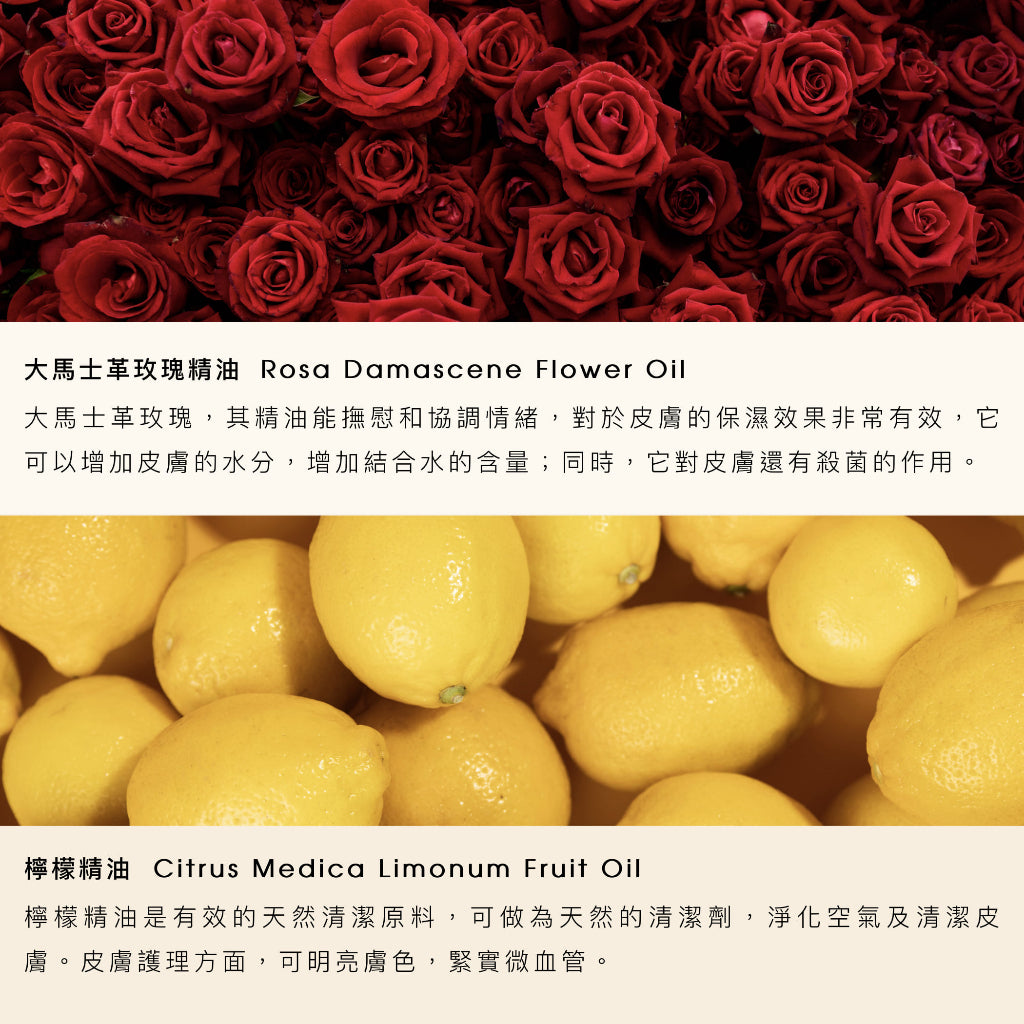 【純白伊芙】女性私密潔護濕巾 12抽/包 防乾摩擦 酸鹼平衡 清潔護理 草本萃取 天然精油 加厚材質