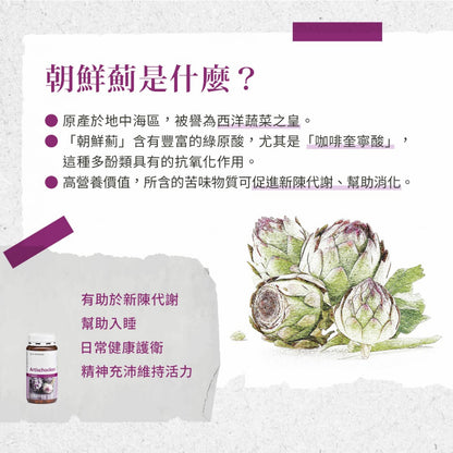 【聖伯納德Sanct Bernhard】朝鮮薊膠囊 150顆/瓶 授權經銷 原廠公司貨 德國百年草本